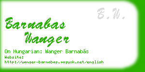 barnabas wanger business card