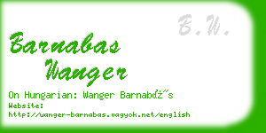 barnabas wanger business card